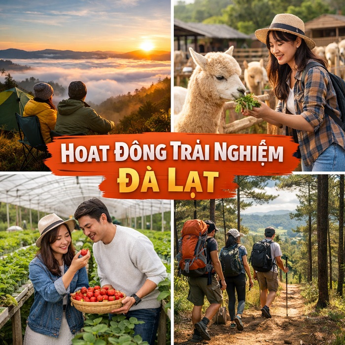 Trải Nghiệm