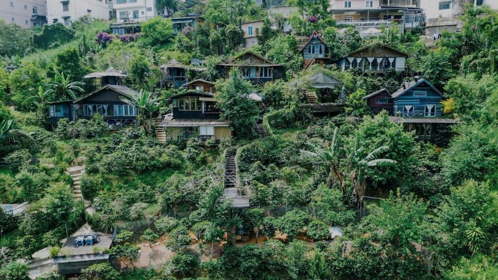 Cú Trên Cây Homestay